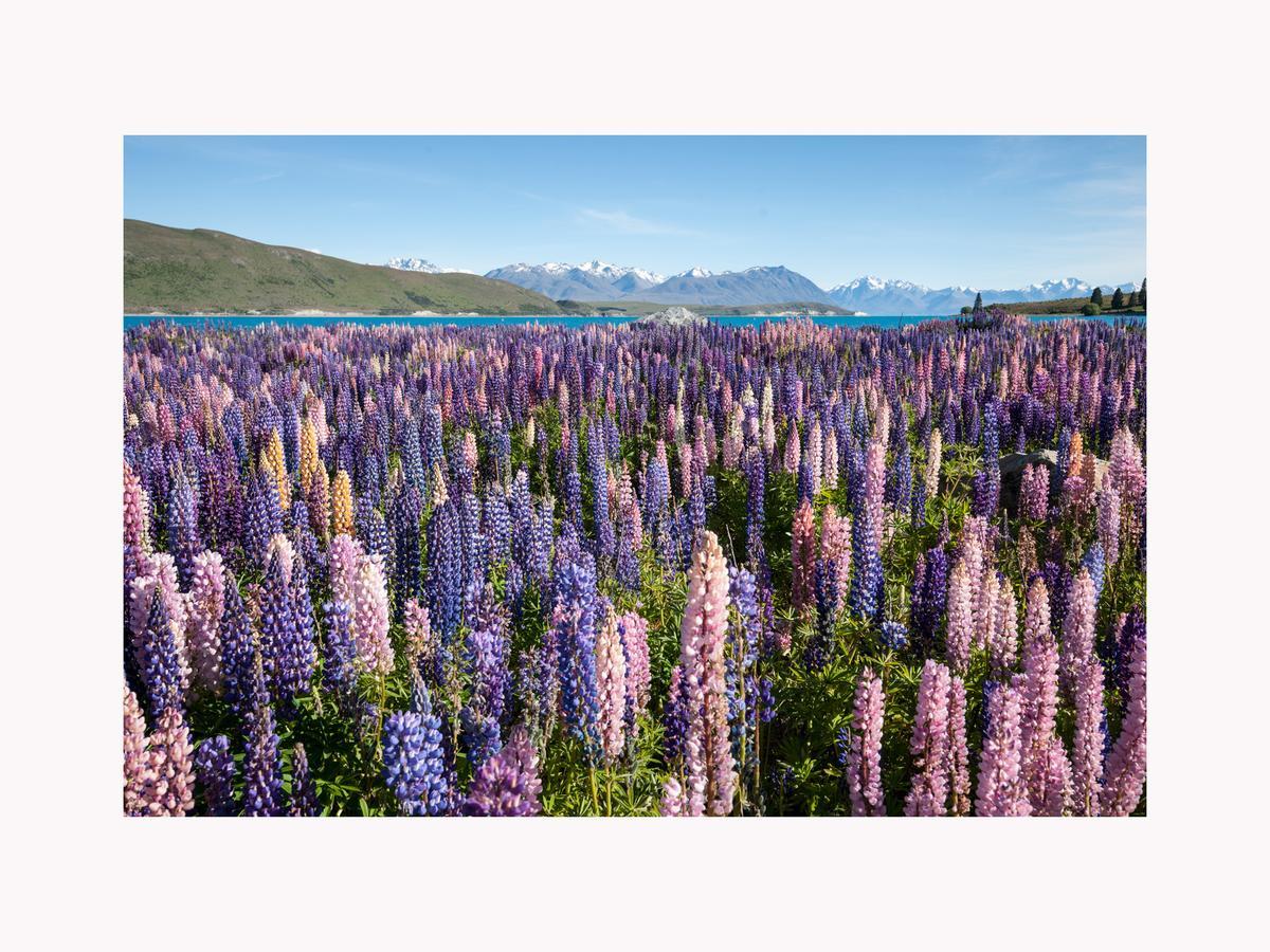 Alpine Suites On Tekapo Luxury B&B Lake Tekapo Luaran gambar