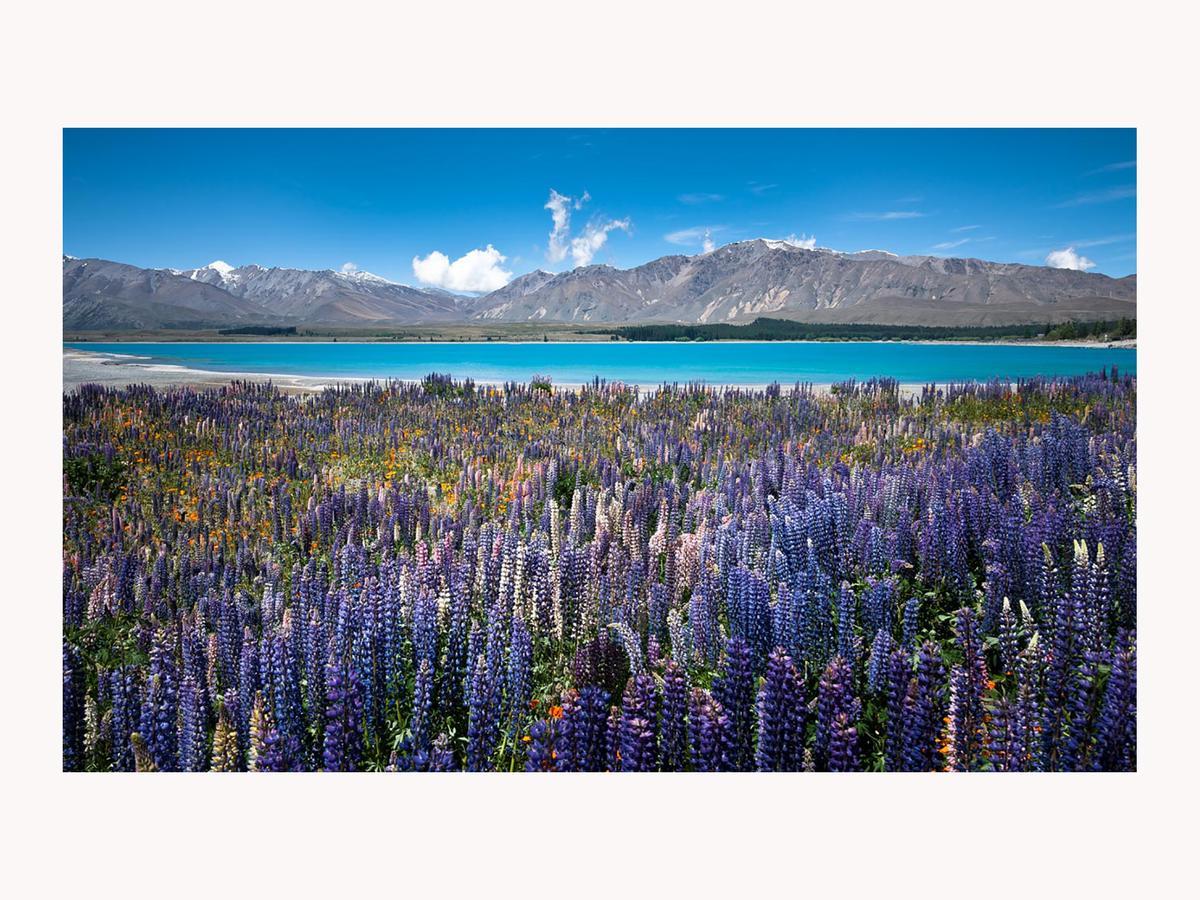 Alpine Suites On Tekapo Luxury B&B Lake Tekapo Luaran gambar